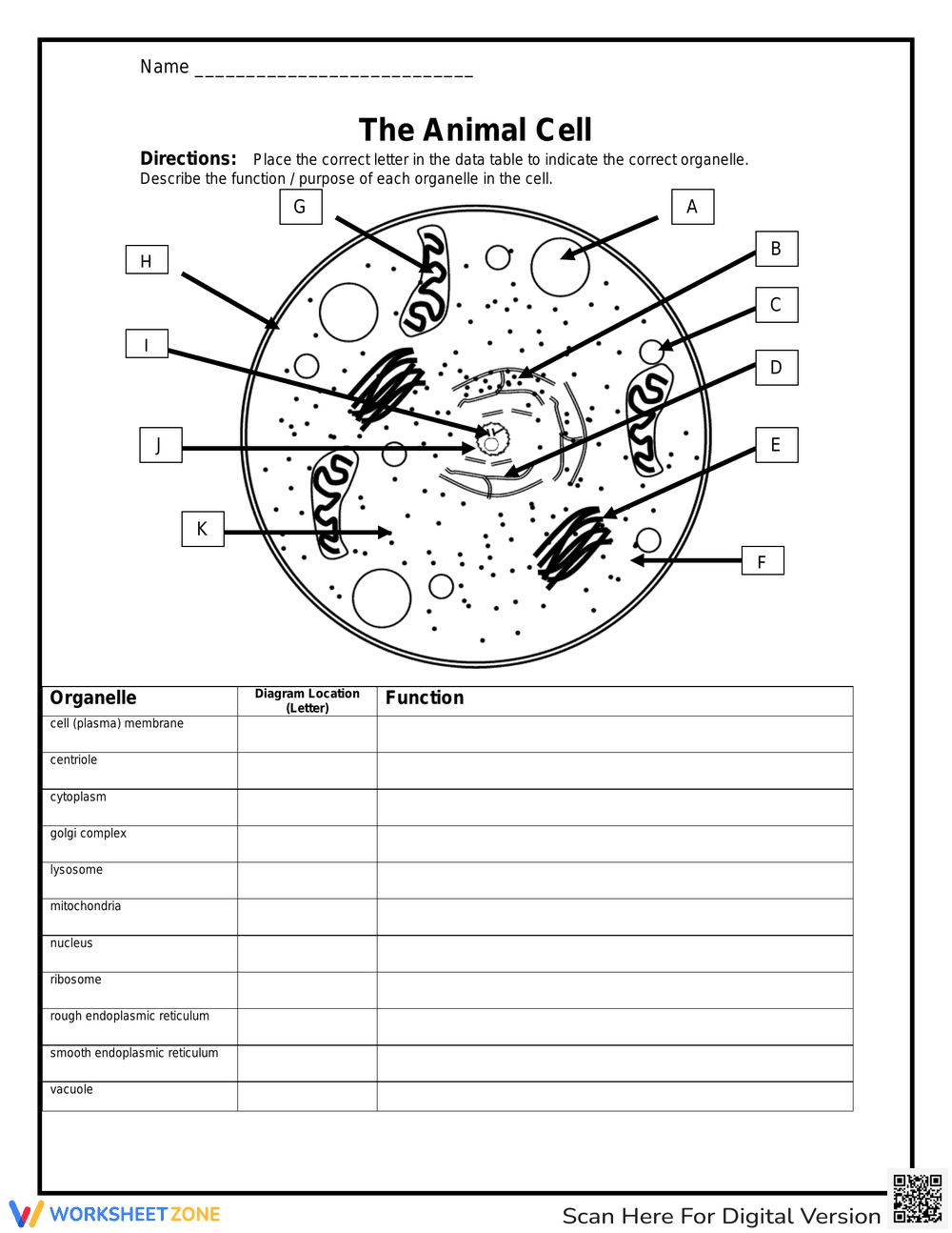 The Animal Cell Worksheet - Page 1