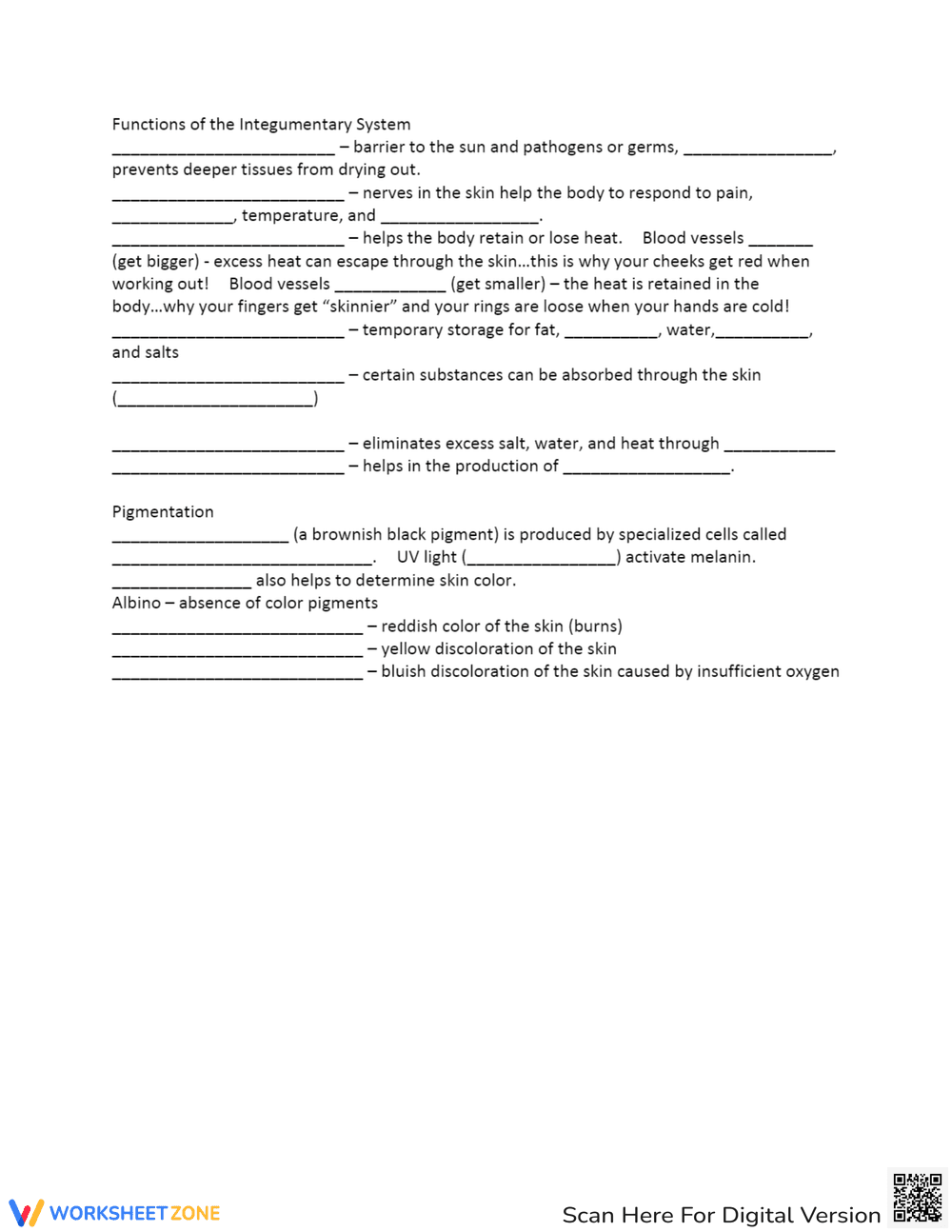 Integumentary System Note Sheet - Page 2