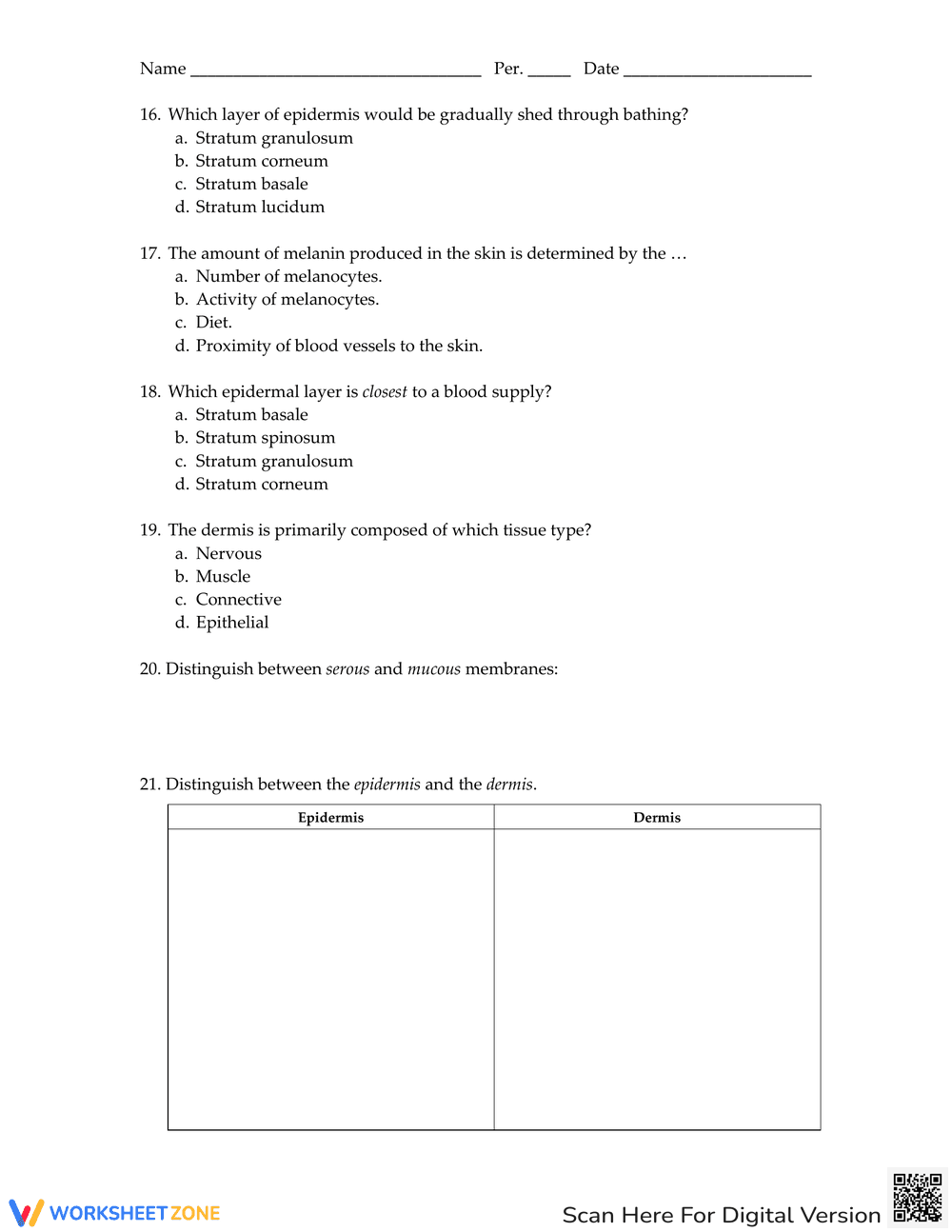 Integumentary System: Anatomy and Function - Page 3
