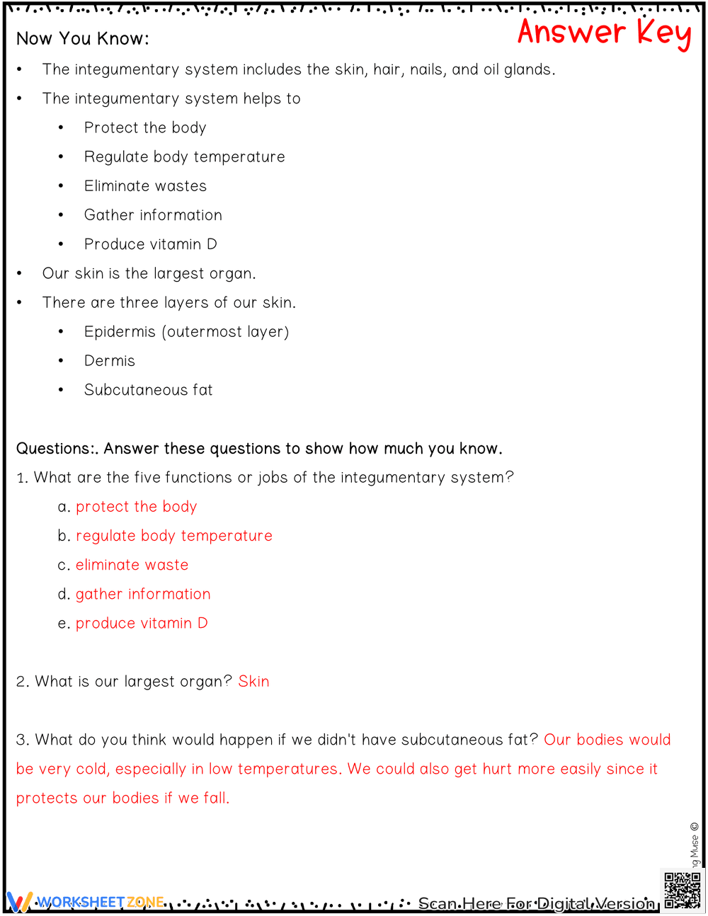 The Integumentary System Explained - Page 10