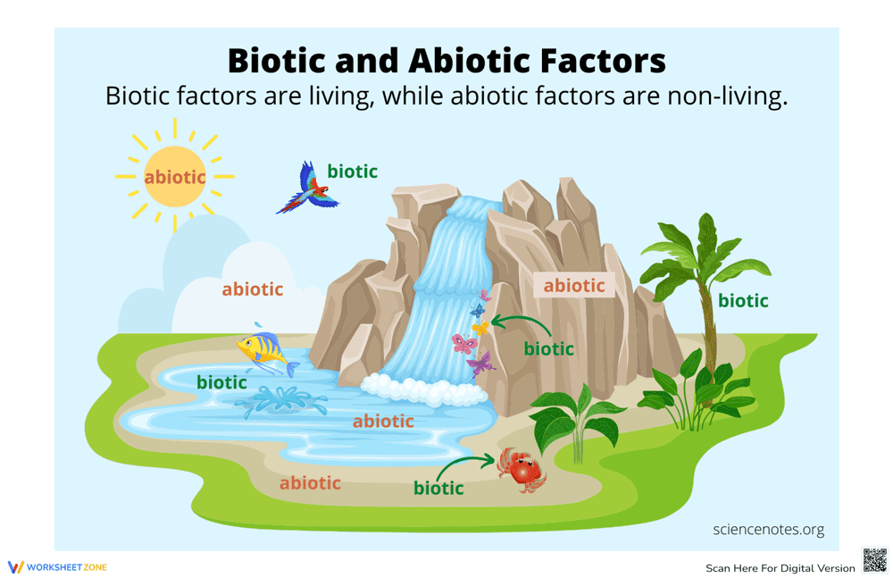 Biotic and Abiotic Factors Poster Worksheet - Page 1