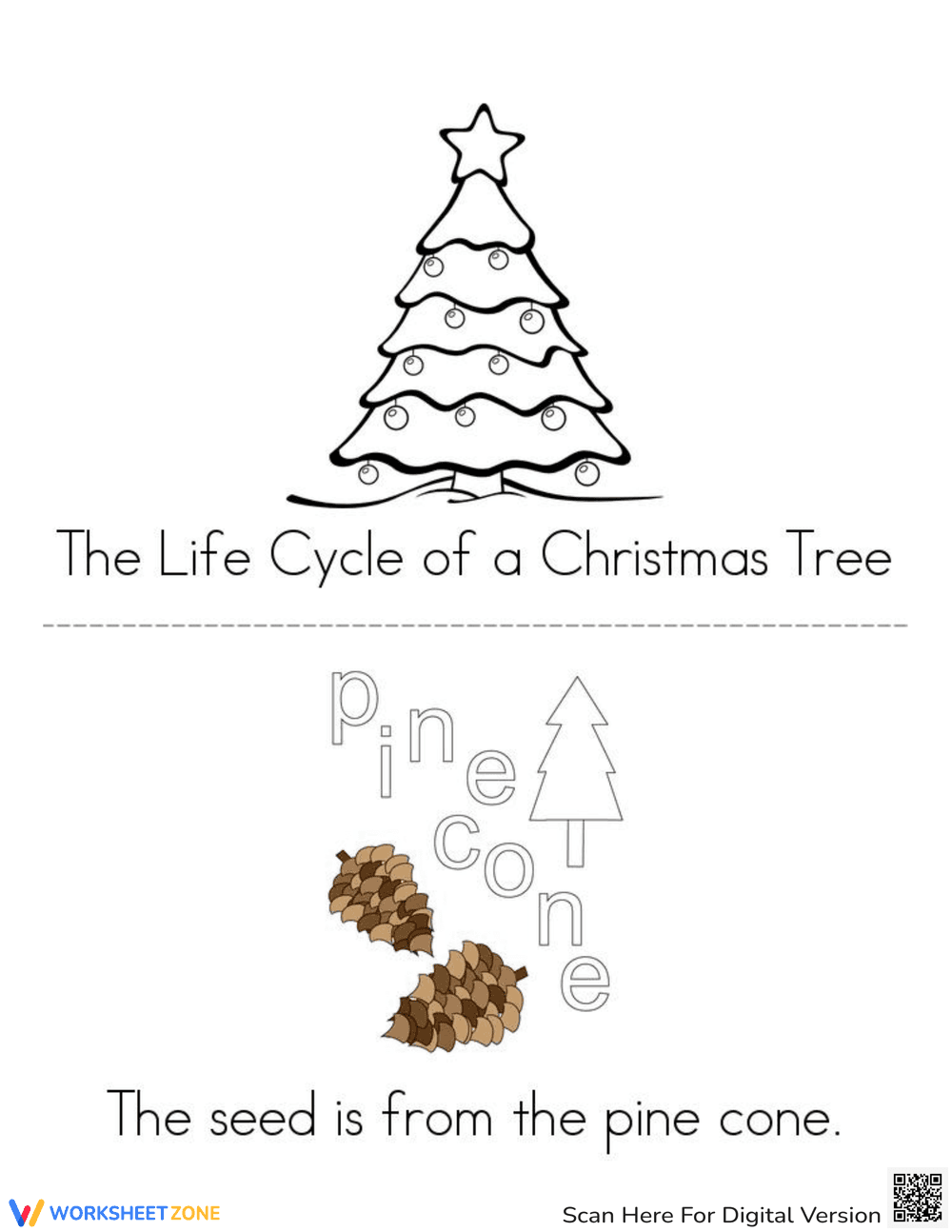 Christmas Tree Life Cycle - Page 1