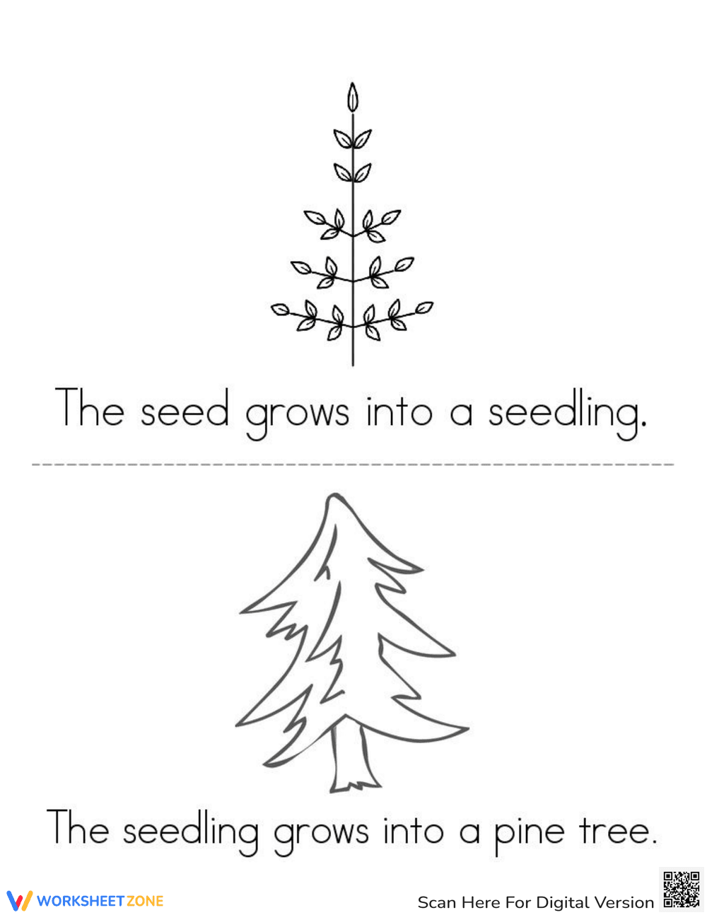 Christmas Tree Life Cycle - Page 2