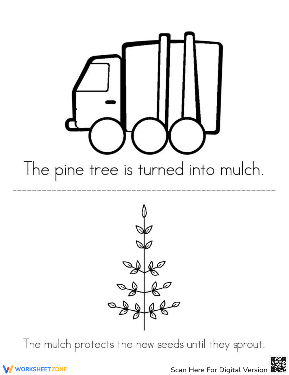 Christmas Tree Life Cycle - Page 4