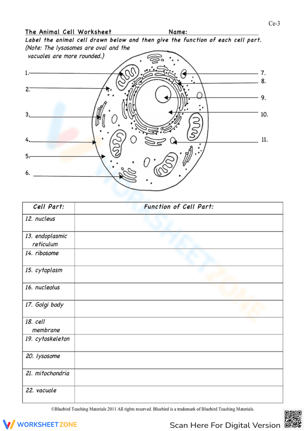 Animal Cell Worksheet – Label and Define Cell Parts - Page 1