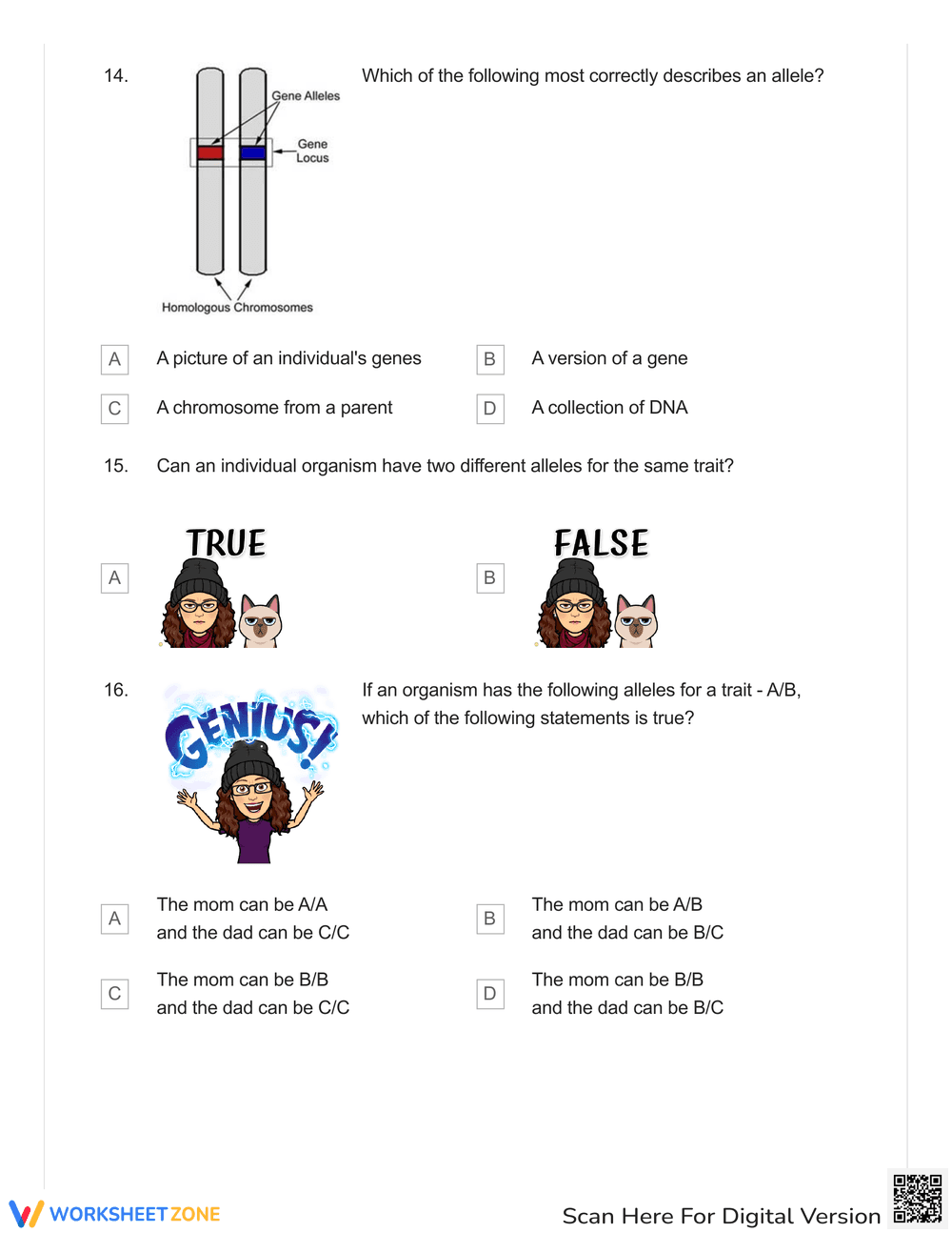 Karyotype and Lions Review Quiz - Page 4