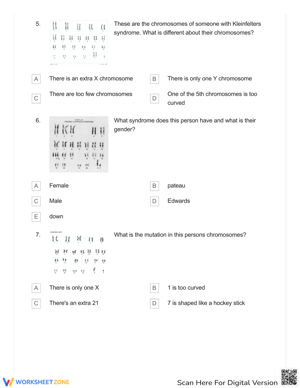 Analyze Karyotypes with This Quiz Worksheet - Page 2