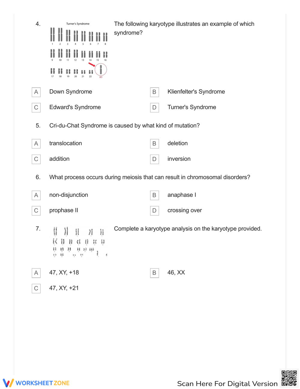 Identify Genetic Disorders with This Worksheet - Page 2