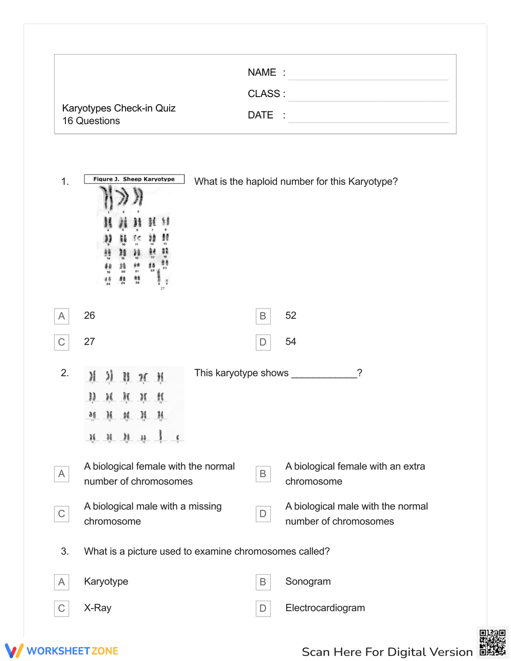 Check-in Quiz: Karyotypes Analysis Worksheet - Page 1