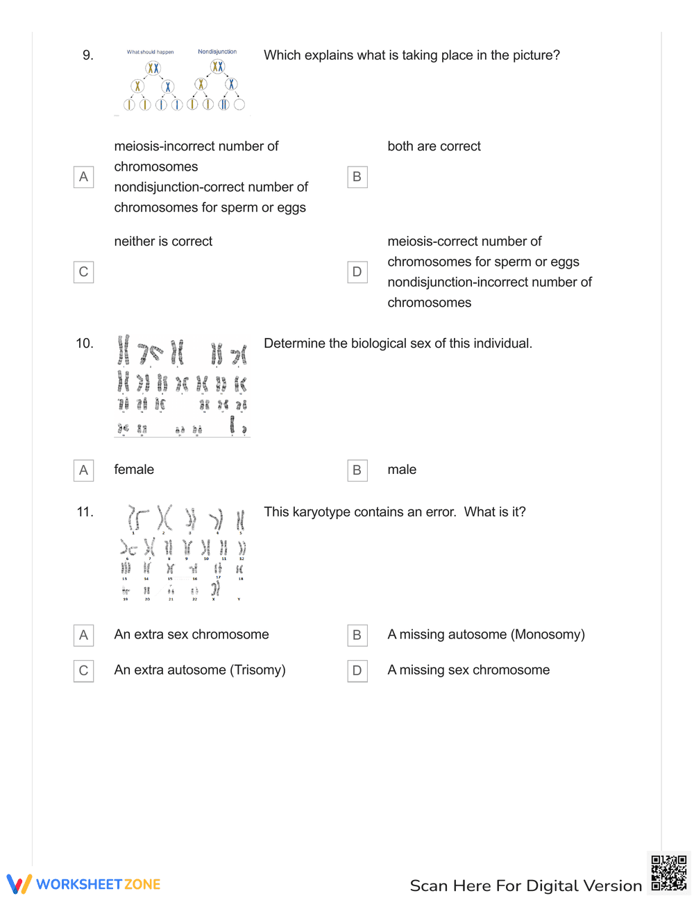 Check-in Quiz: Karyotypes Analysis Worksheet - Page 3