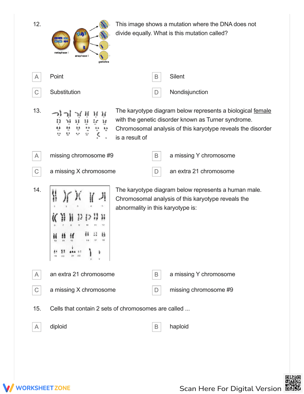 Check-in Quiz: Karyotypes Analysis Worksheet - Page 4