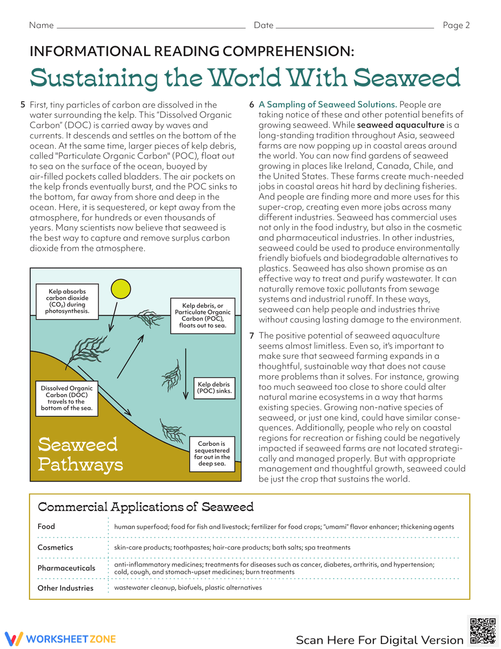 Sustaining the World with Seaweed Worksheet - Page 2