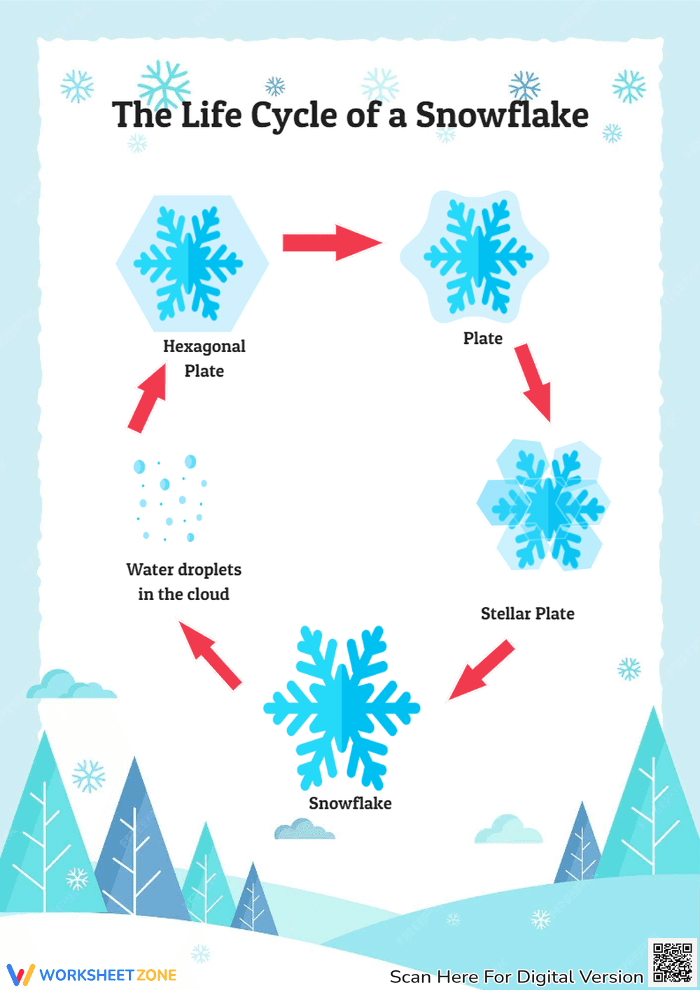 Snowflake Life Cycle Diagram - Science Worksheet for K-3 Kids - Page 1