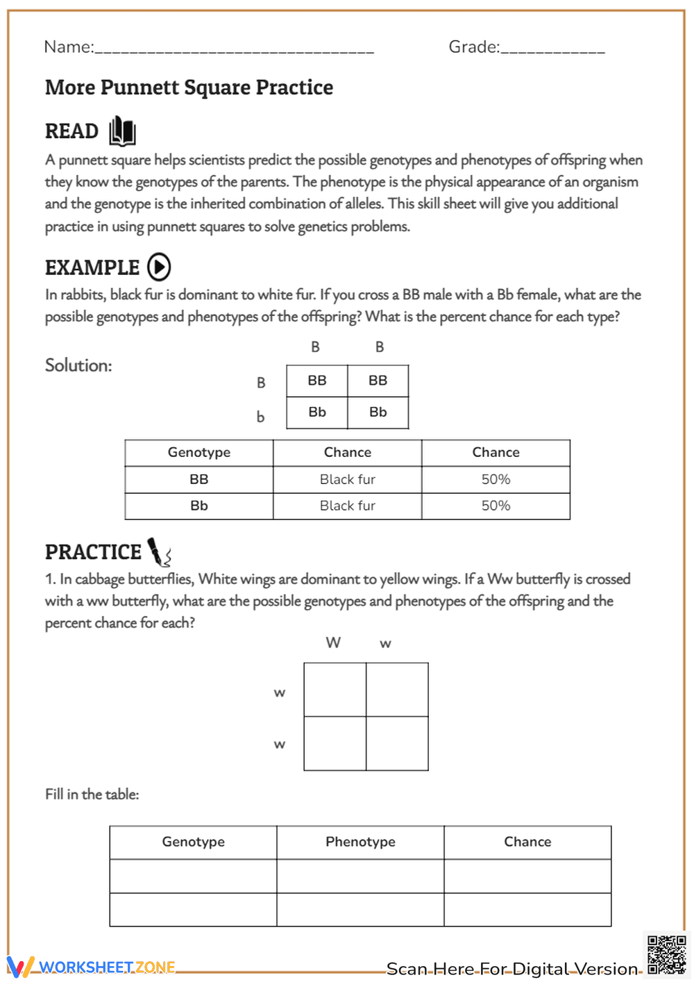 Punnett Square Practice: Genetics Worksheet for Genotypes & Phenotypes - Page 1