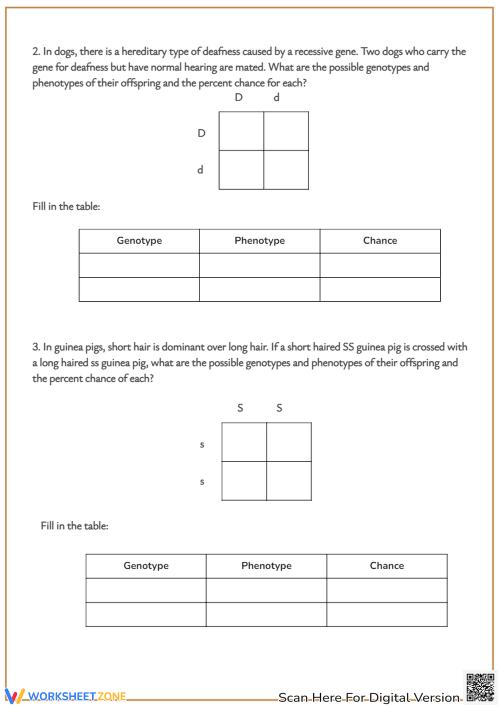 Punnett Square Practice: Genetics Worksheet for Genotypes & Phenotypes - Page 2