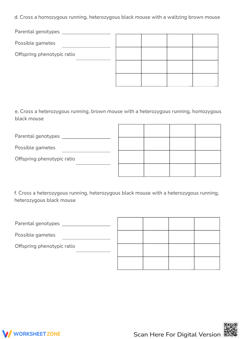 Dihybrid Cross Worksheet - Page 4