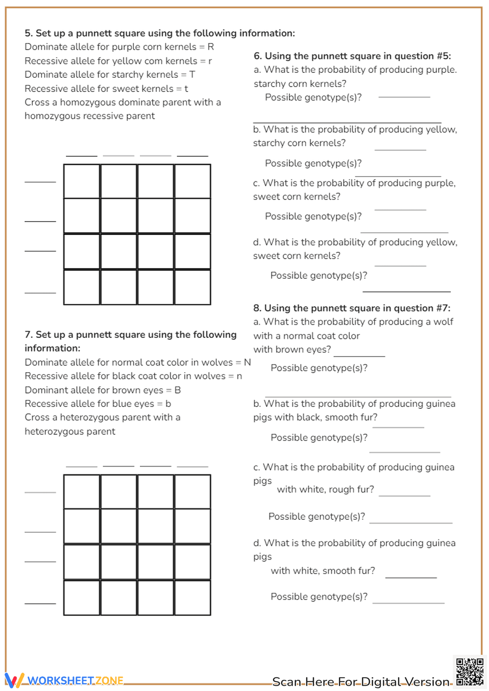 Dihybrid Cross Punnett Square Practice - Genetics Worksheet - Page 2