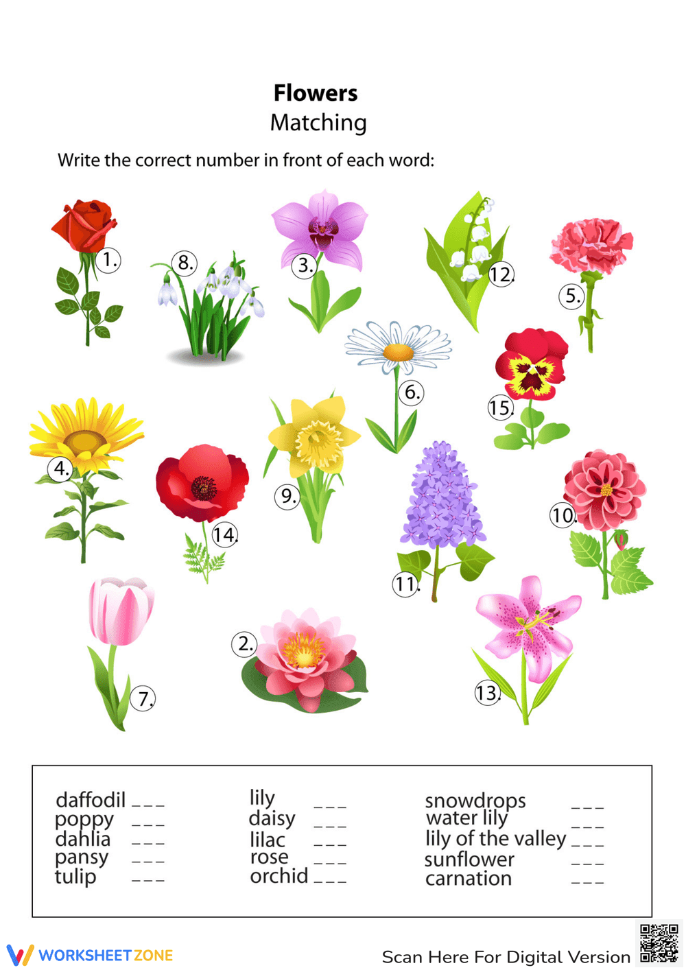 Flowers Matching Worksheet - Page 1