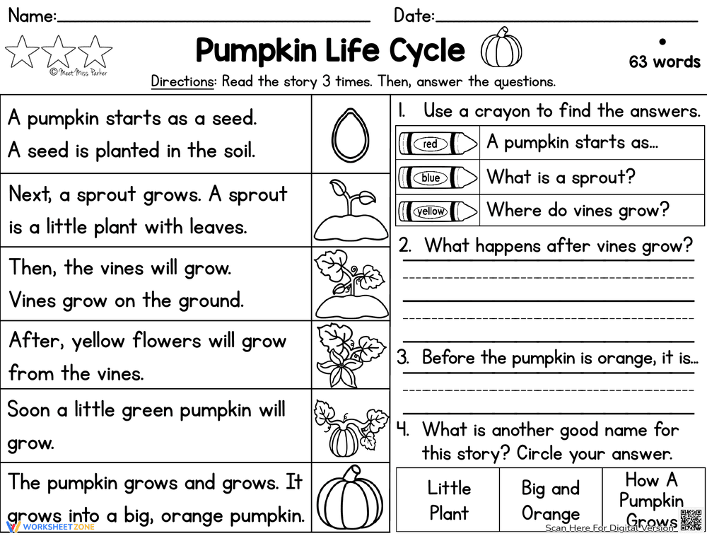 Pumpkin Life Cycle Reading Comprehension - Page 1