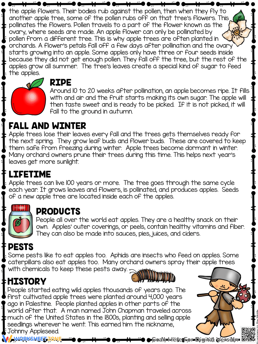 Apples Reading Comprehension Worksheet - Page 2