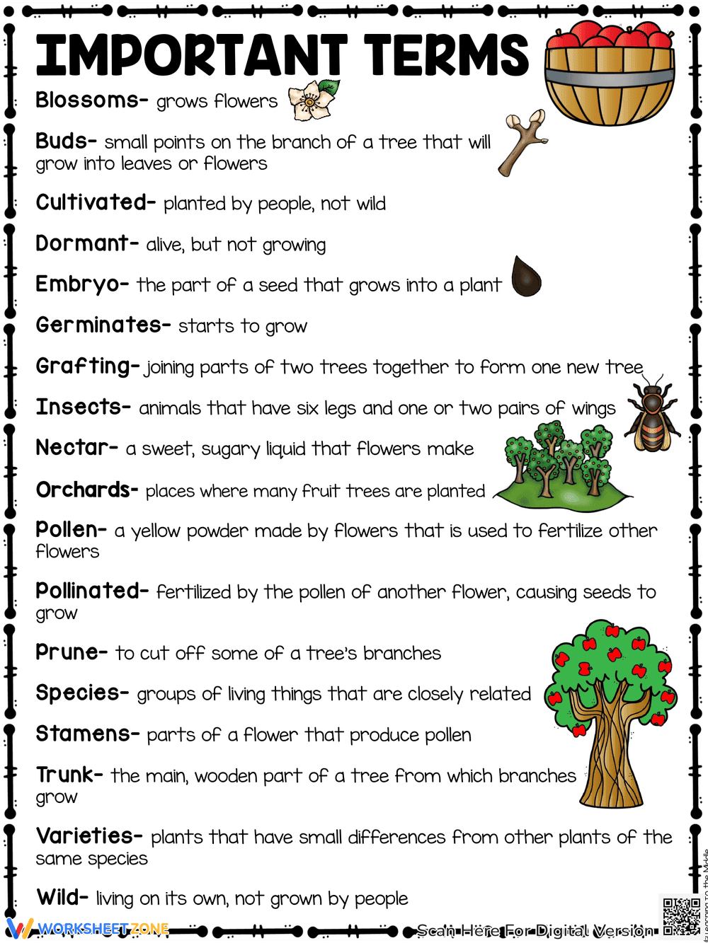 Apples Reading Comprehension Worksheet - Page 3