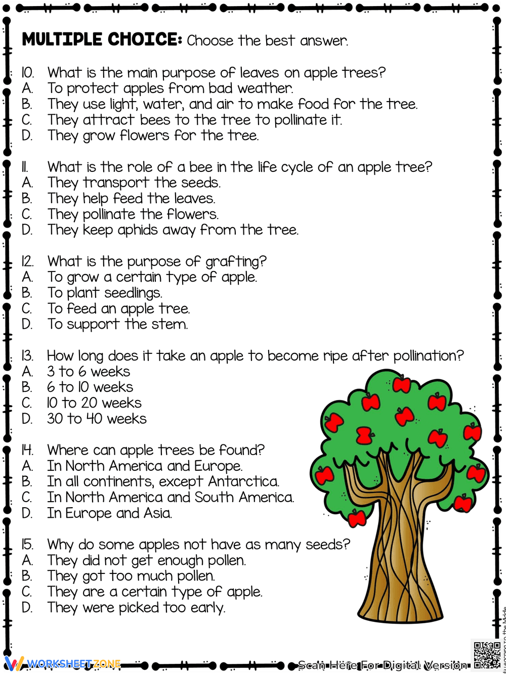 Apples Reading Comprehension Worksheet - Page 5