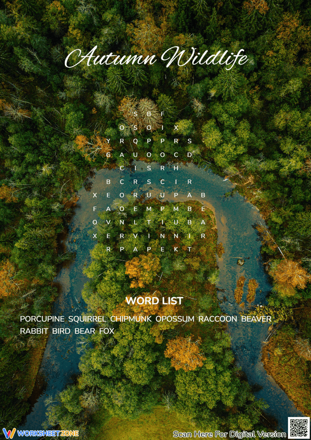 Exploring Autumn Wildlife - Page 1
