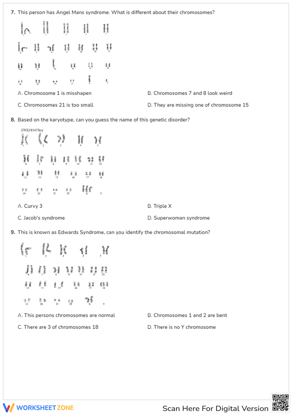 Identify Karyotype Mutations - Page 3