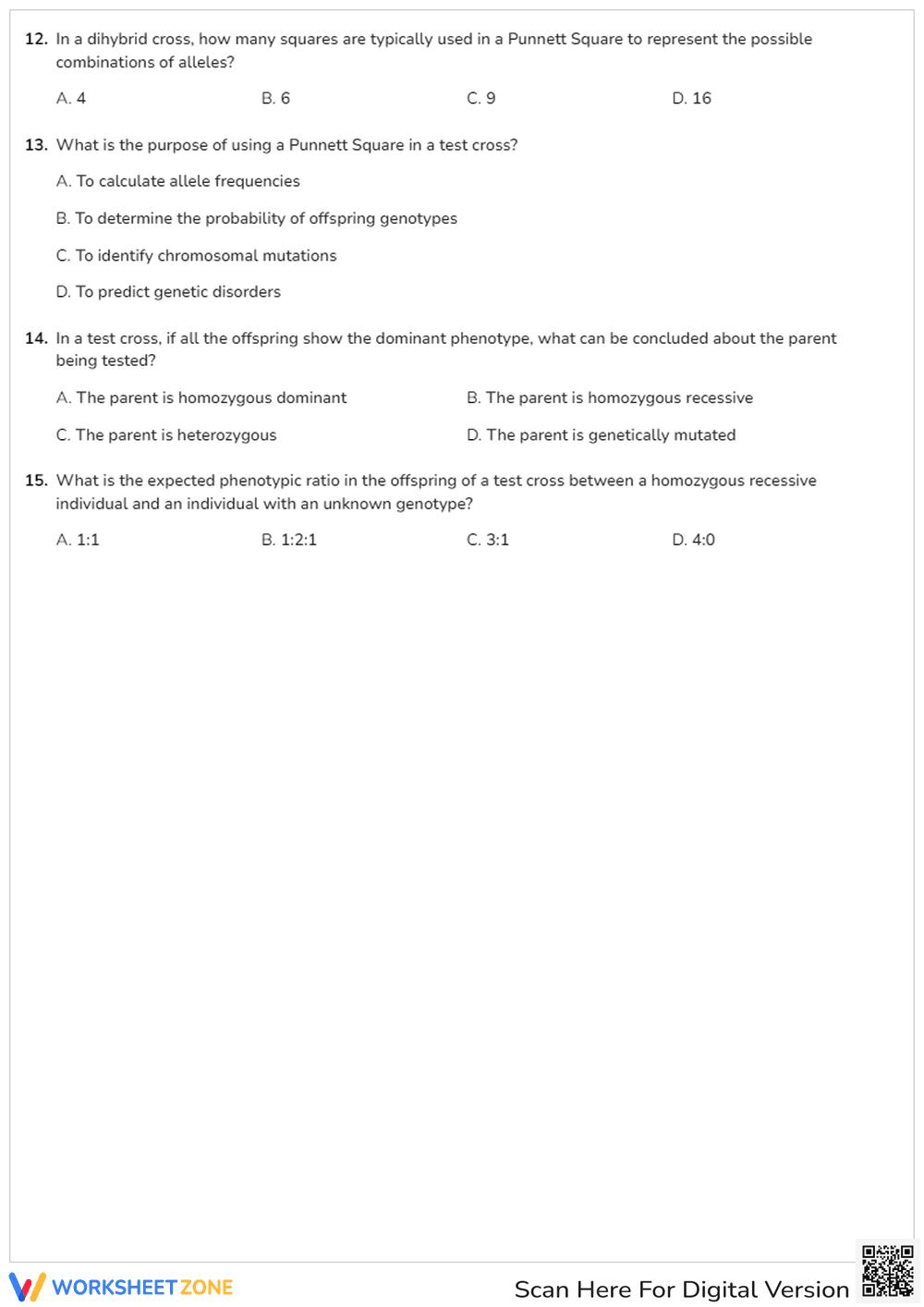 Punnett Square Practice - Monohybrid Squares - Page 2