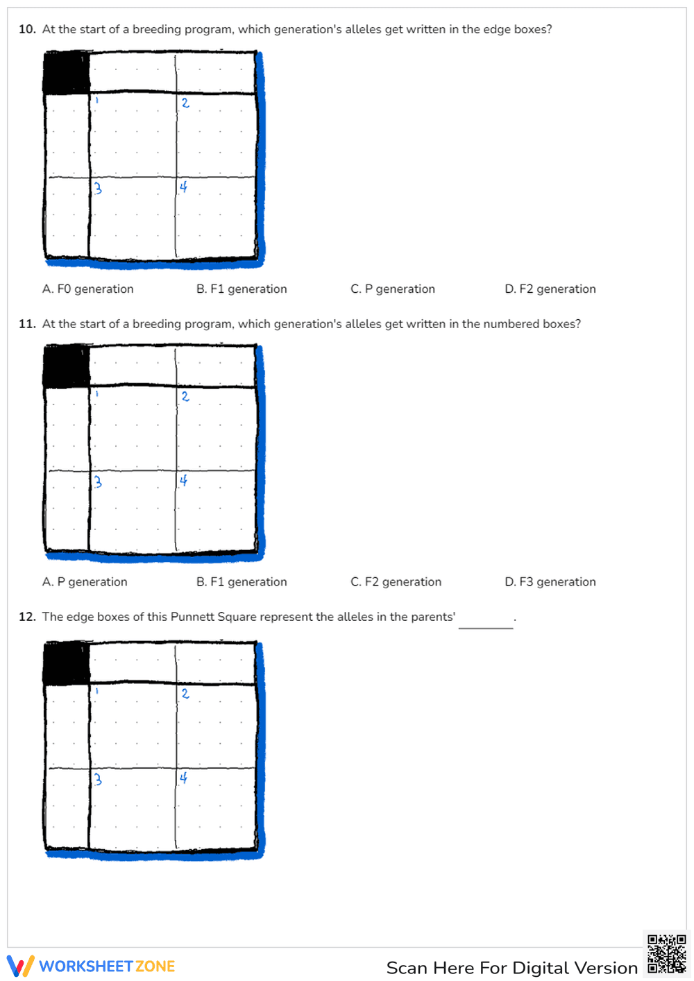 Punnett Square Practice - Page 4