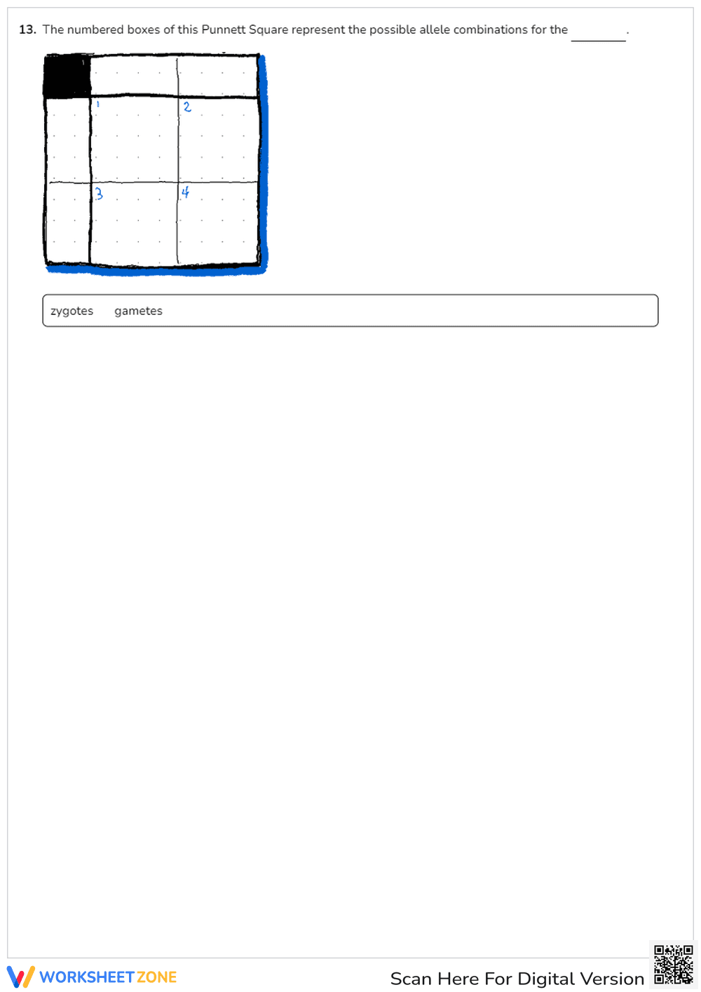 Punnett Square Practice - Page 5