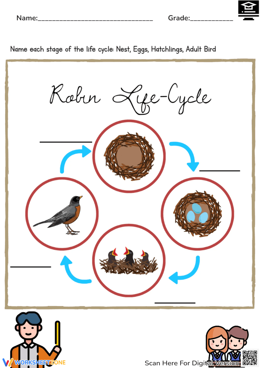 Robin Life Cycle - Page 1