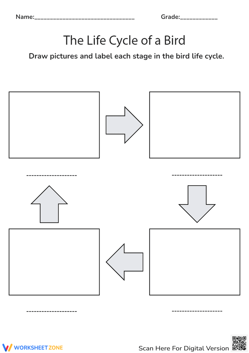 Draw and Label the Bird Life Cycle Worksheet - Page 1