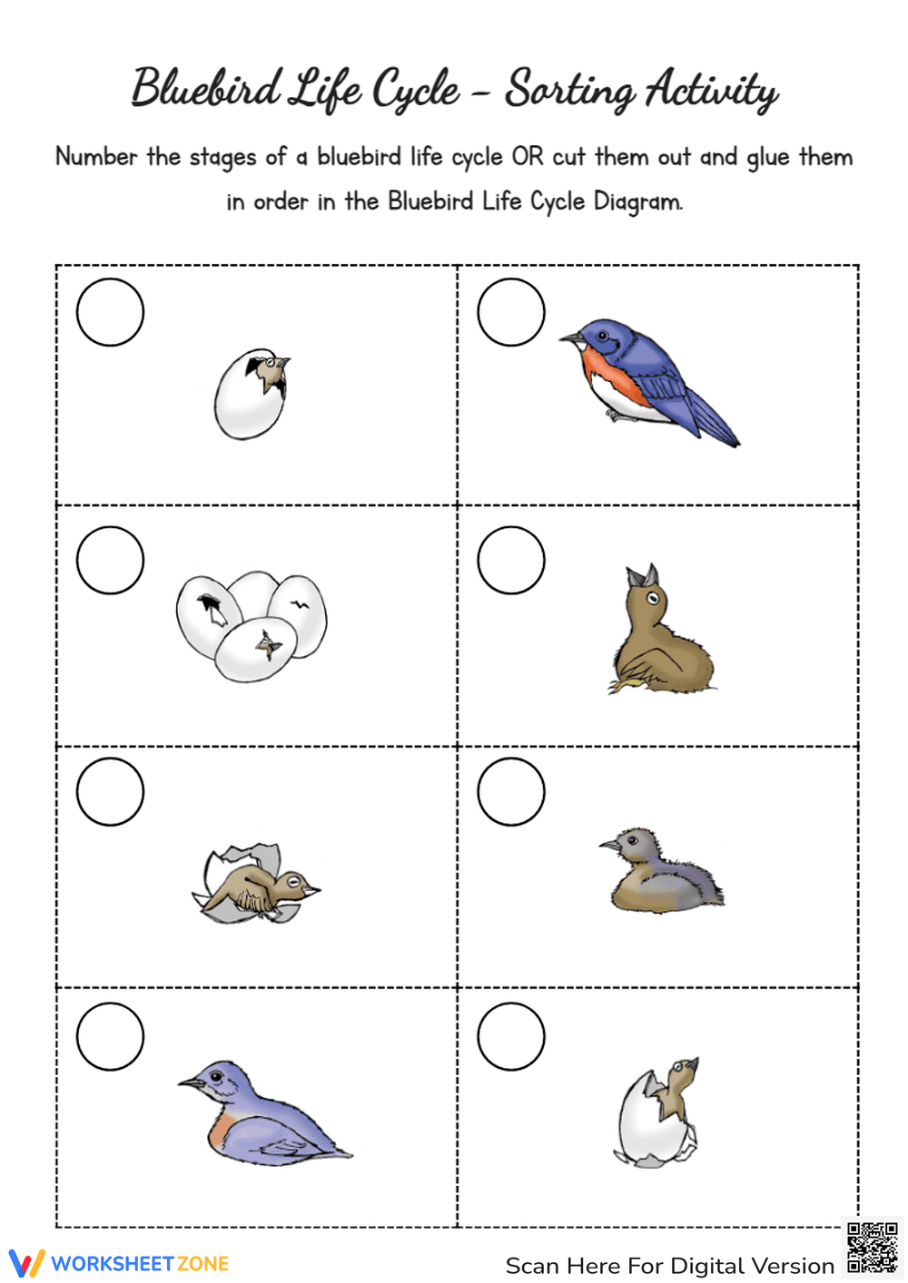 Bluebird Life Cycle: Sequencing Activity - Cut & Paste Fun! - Page 1