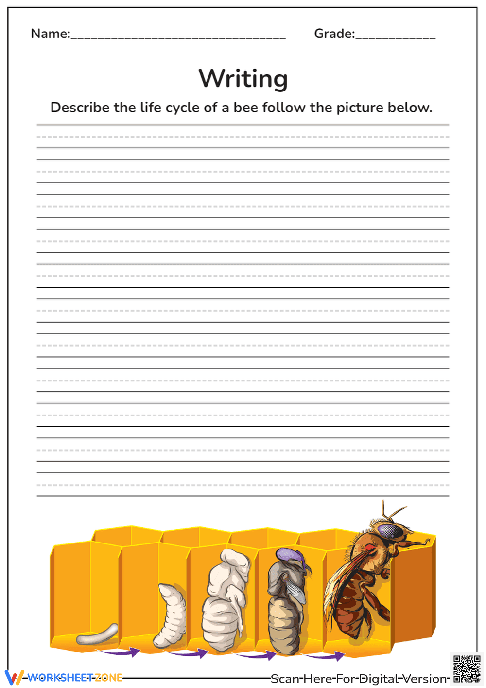 Writing The Life Cycle of a Bee - Page 1