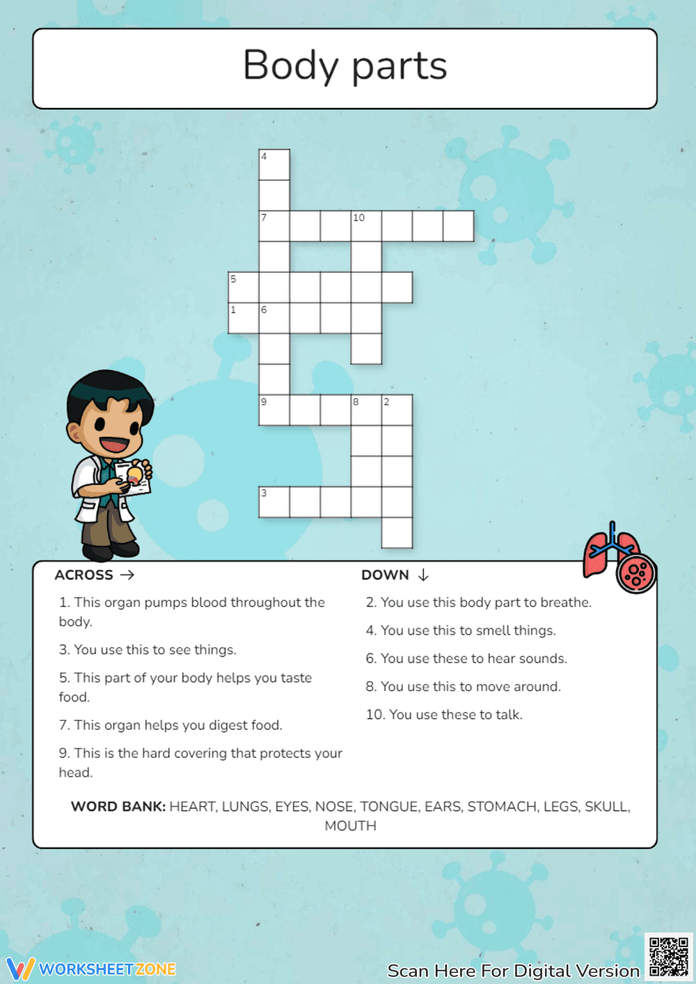 Learning Human Anatomy with Crosswords - Page 1