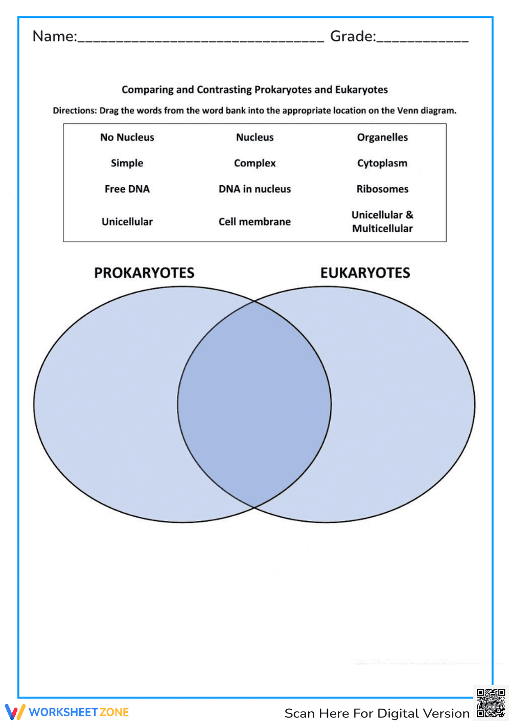 Prokaryotes vs. Eukaryotes: Cell Structure Venn Diagram Worksheet - Page 1