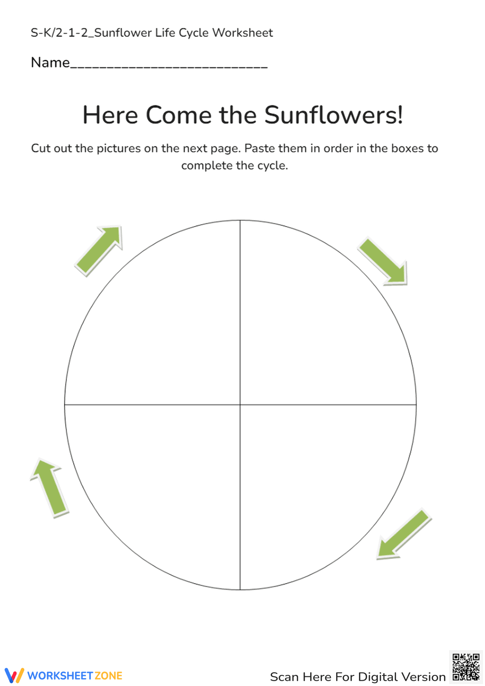 Understanding the Sunflower Life Cycle - Page 1