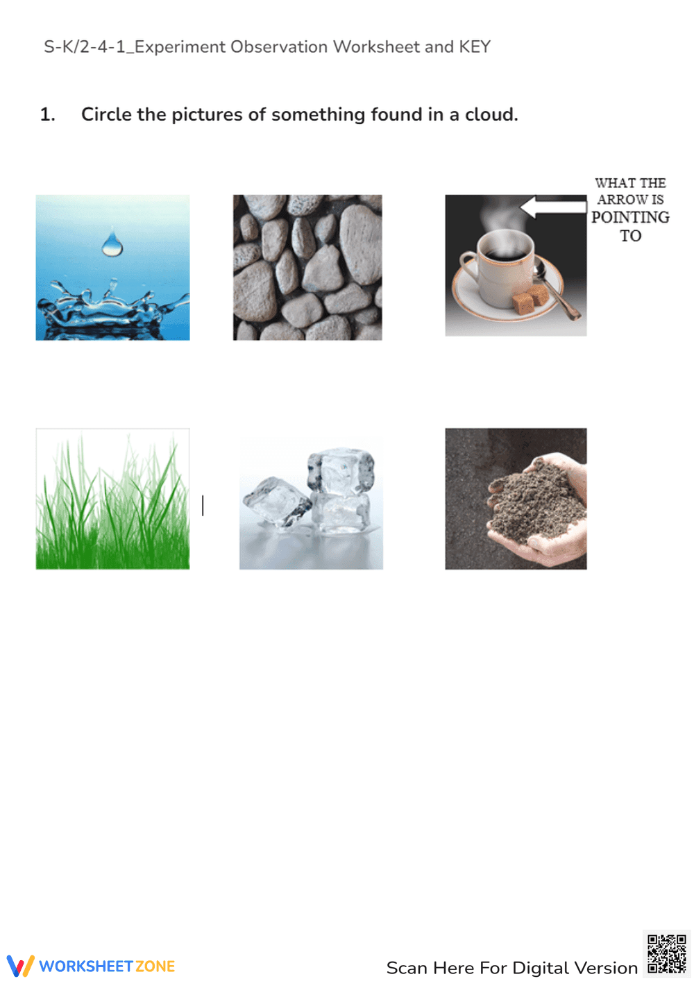 Science Experiment Observation Worksheet - Page 1