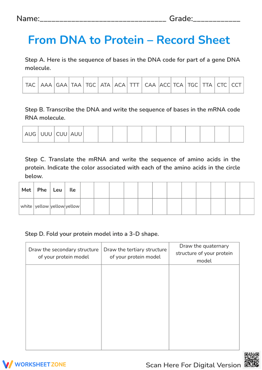 From DNA to Protein – Record Sheet - Page 1