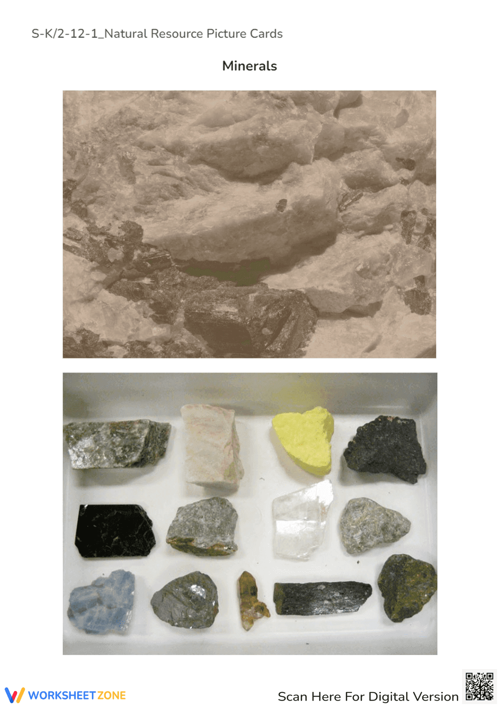 Forest Plants Picture Card - Natural Resource for K-2 Kids - Page 5