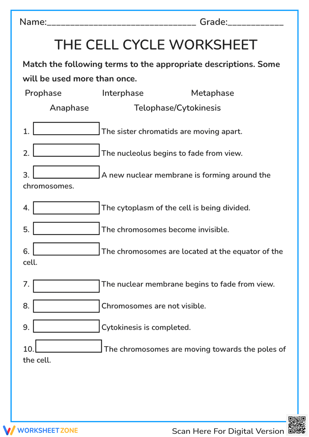 Explore the Cell Cycle with This Worksheet - Page 1