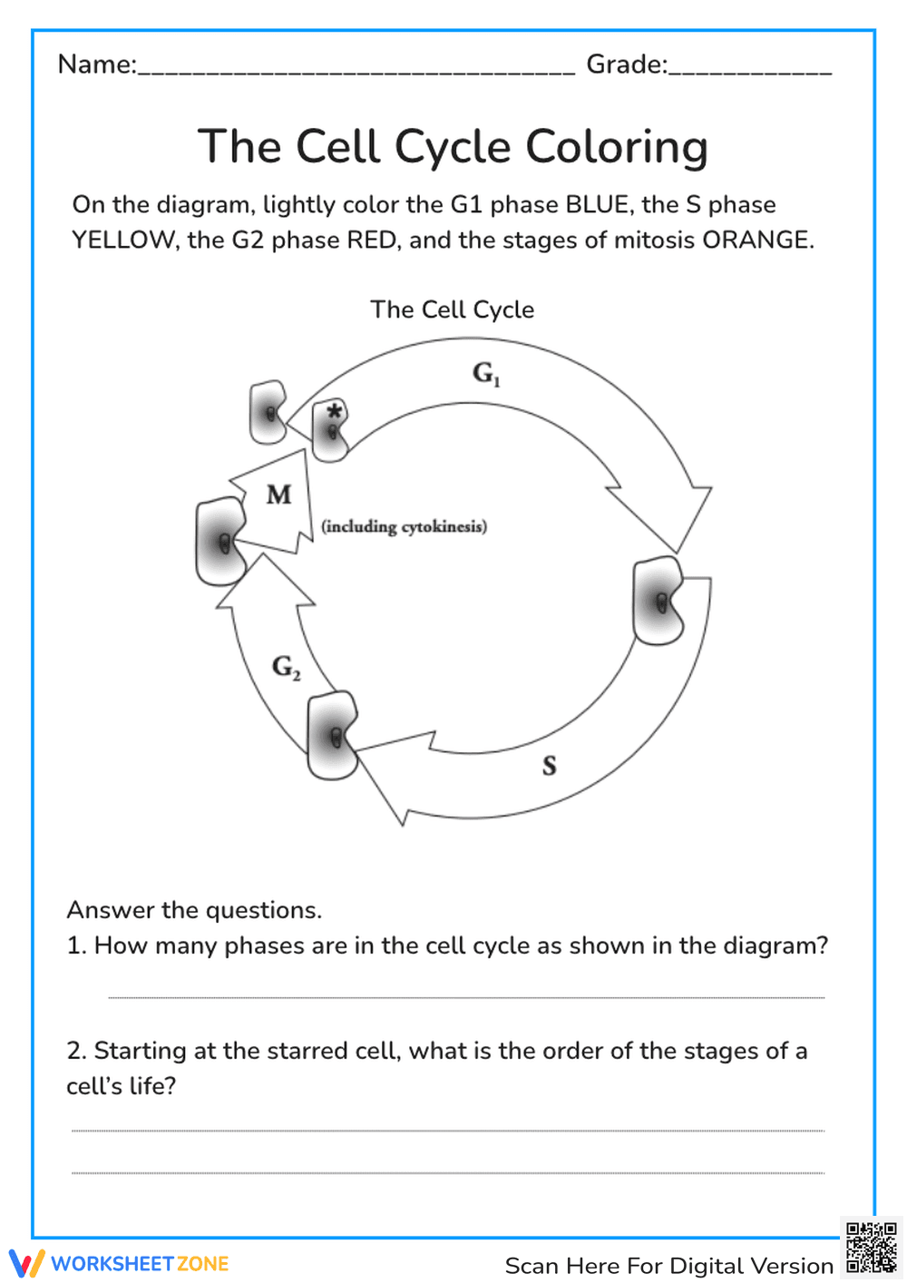The Cell Cycle Coloring - Page 1