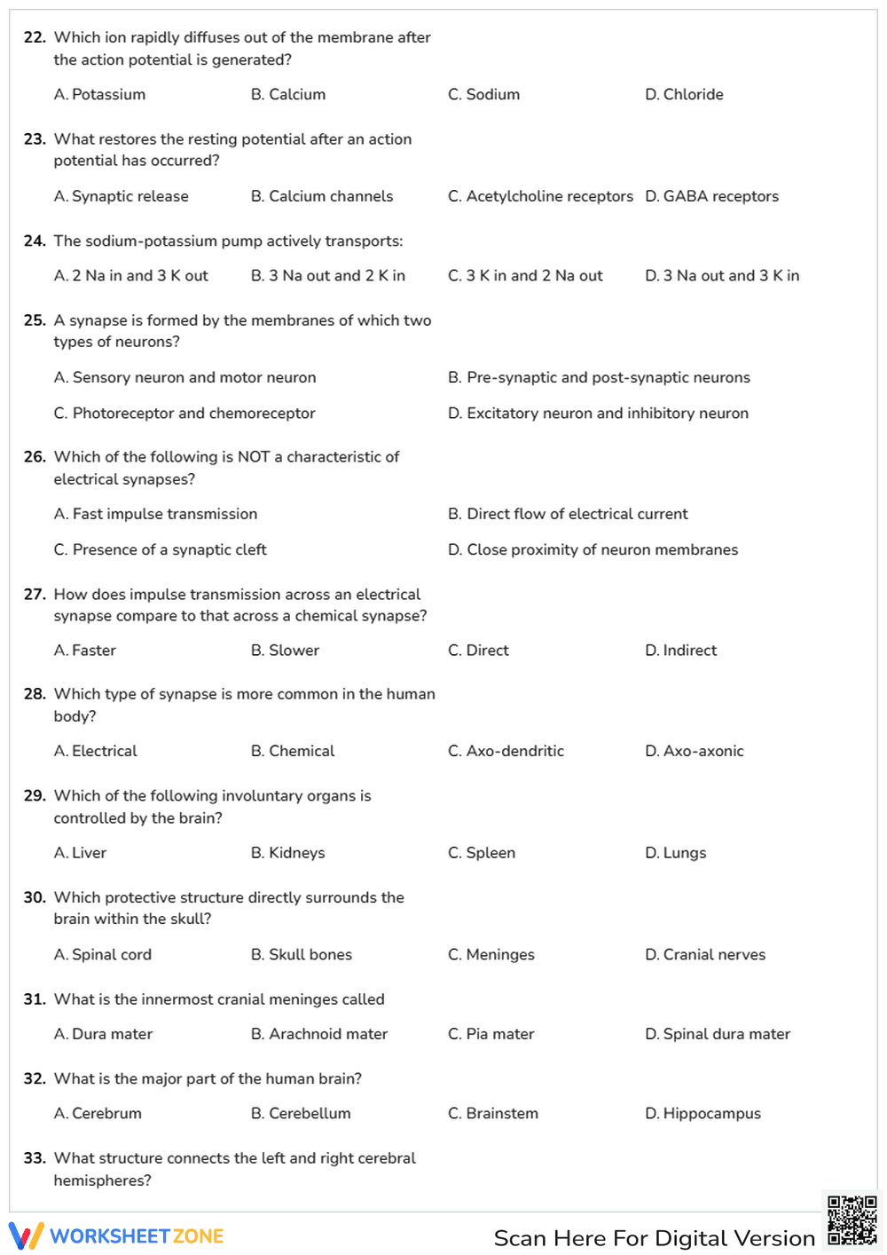 Neural System Quiz - Page 3