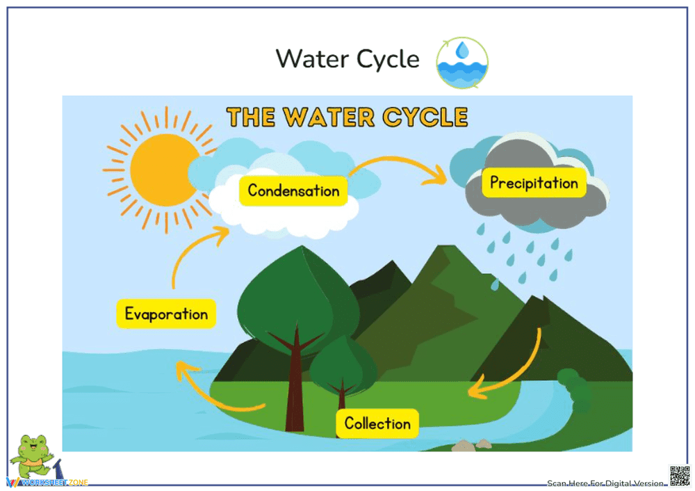 The Water Cycle: Interactive Diagram for Kids - Page 1
