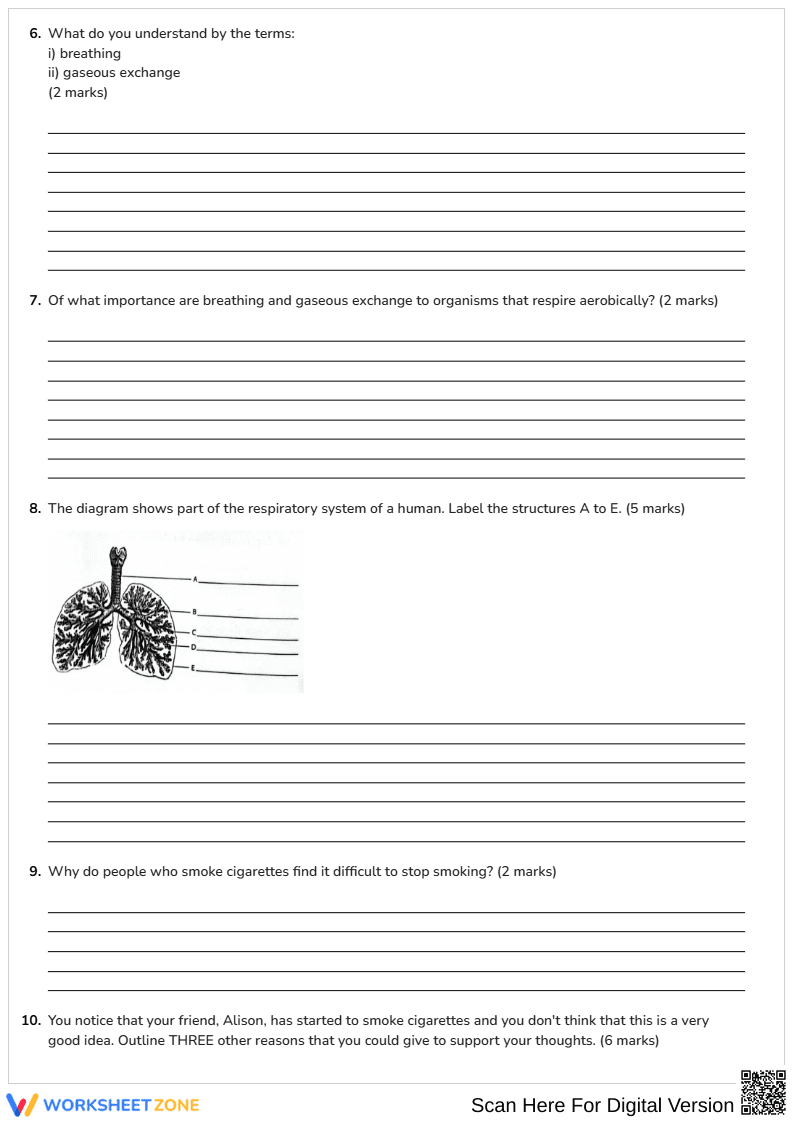 Respiration & Gaseous Exchange - Page 2