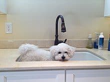 High Frequency Words: Mastering Common Vocabulary