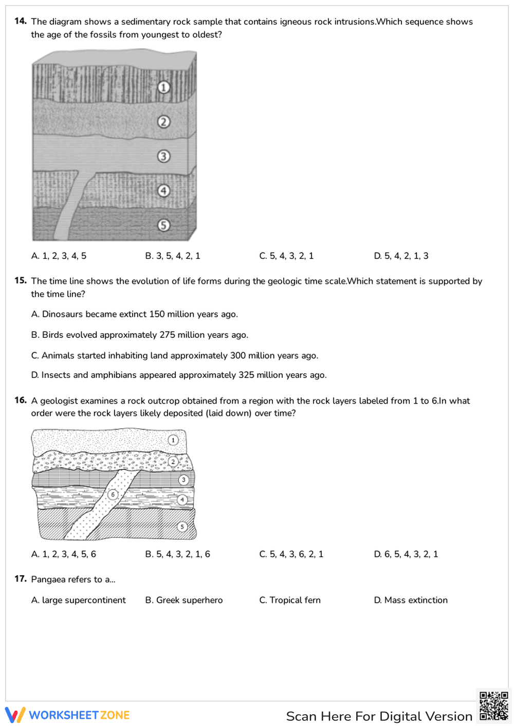 Law of Superposition Quiz - Page 3