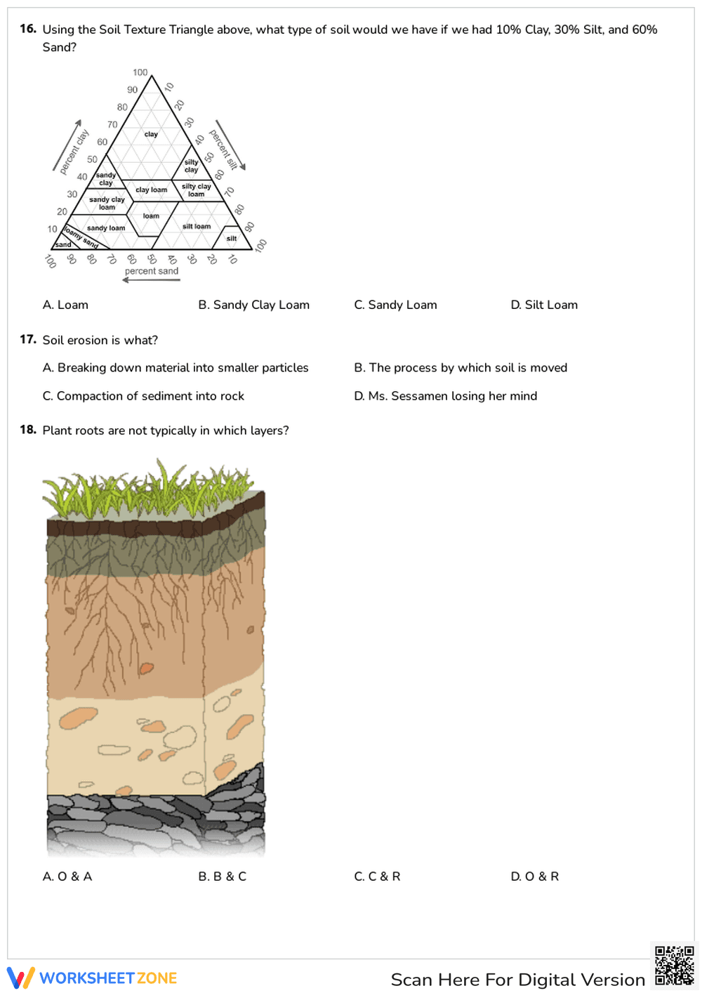 Soil Formation and Texture Quiz - Page 3