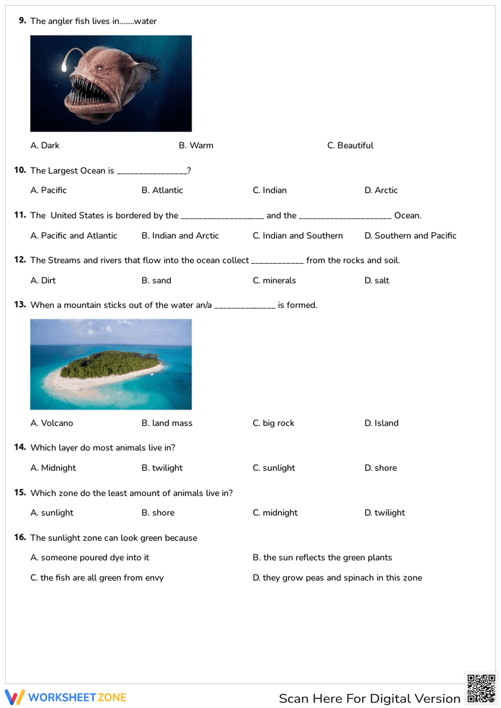 Ocean Zones and Marine Life Quiz - Page 3